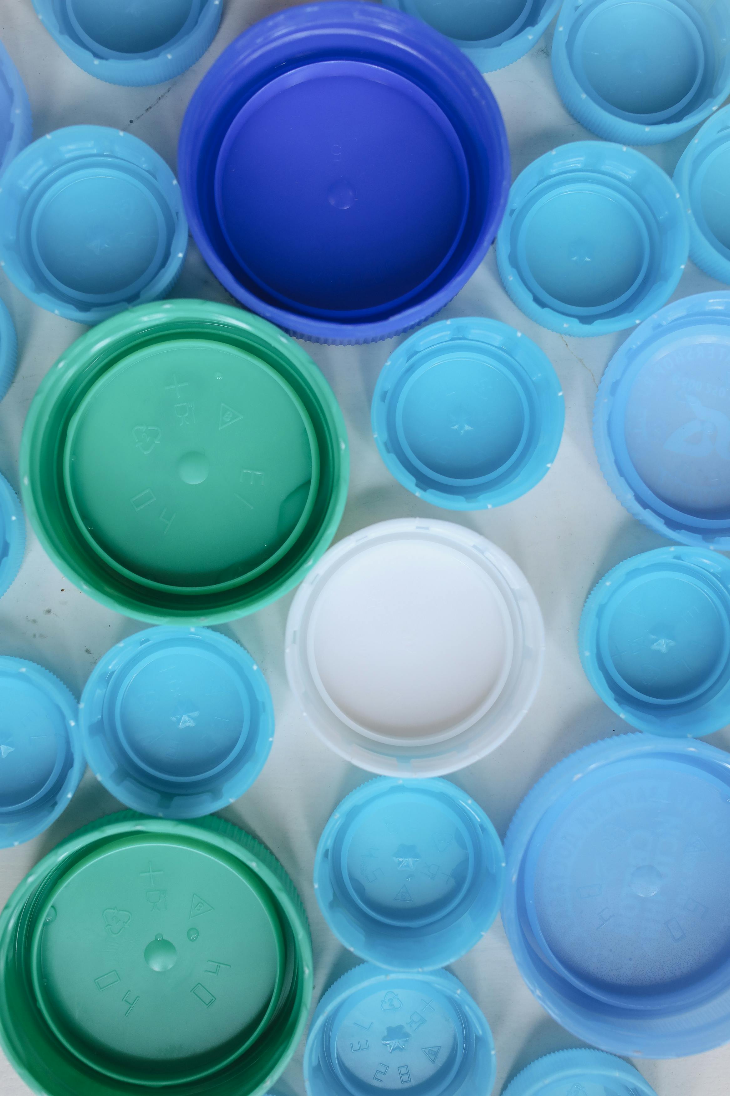 Turning Algae into Biodegradable Plastic: The Future of Sustainable Packaging