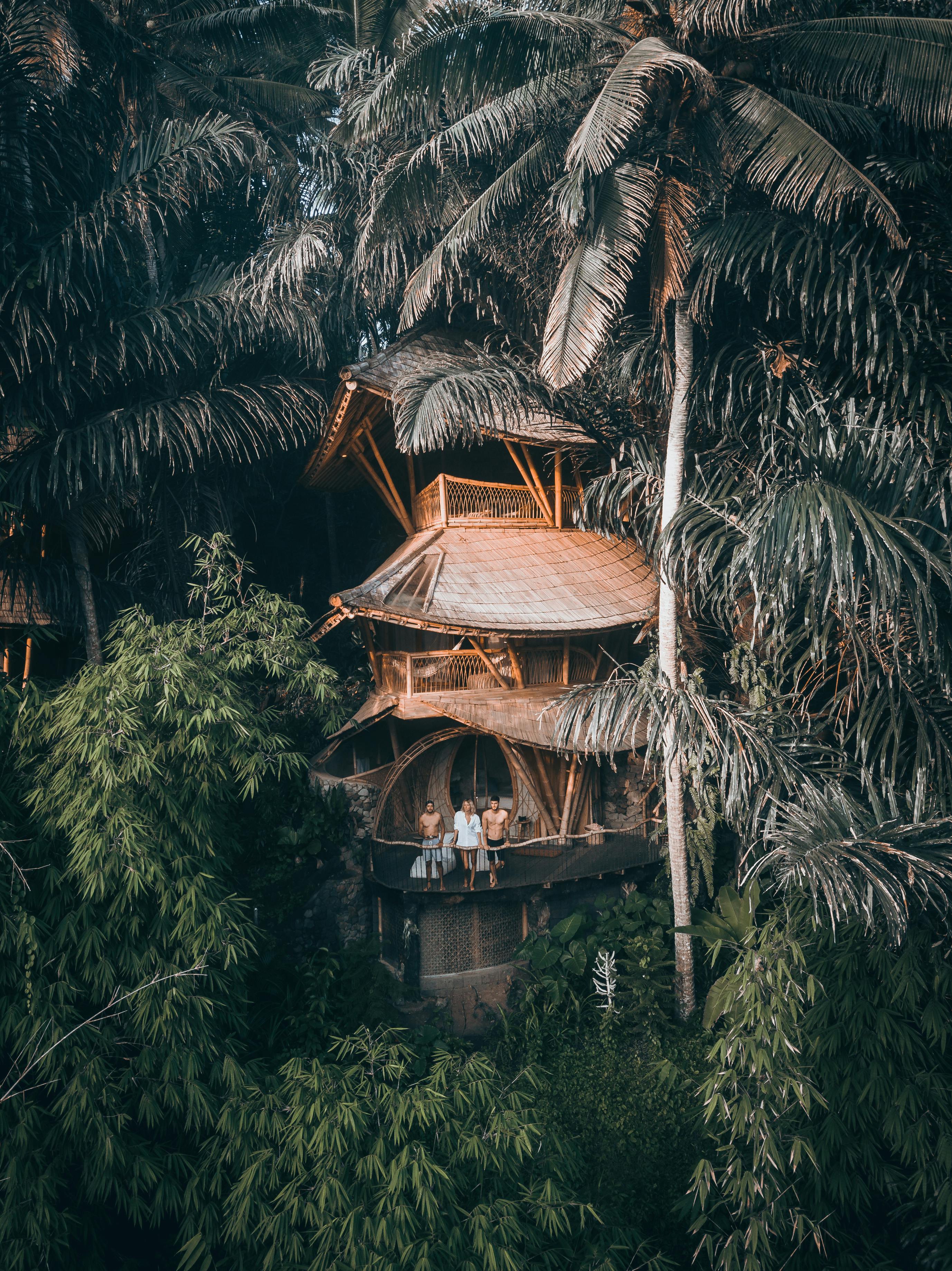 Unconventional Accommodation Options: From Treehouses to Houseboats