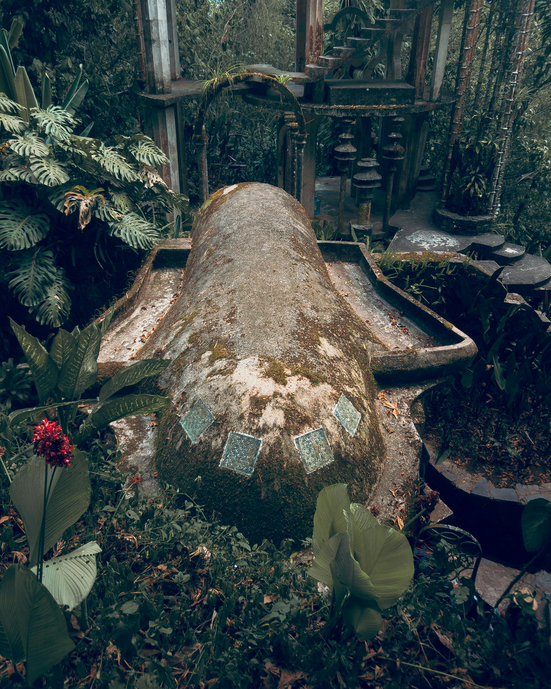 The Secret Lives of Urban Wildlife: Uncovering Nature in the Concrete Jungle